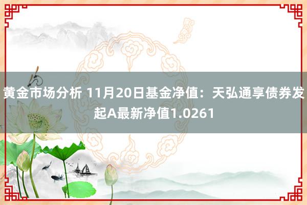 黄金市场分析 11月20日基金净值：天弘通享债券发起A最新净值1.0261