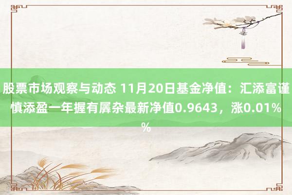 股票市场观察与动态 11月20日基金净值：汇添富谨慎添盈一年握有羼杂最新净值0.9643，涨0.01%