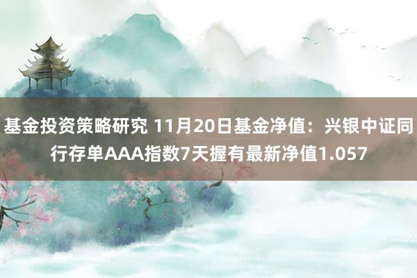 基金投资策略研究 11月20日基金净值：兴银中证同行存单AAA指数7天握有最新净值1.057