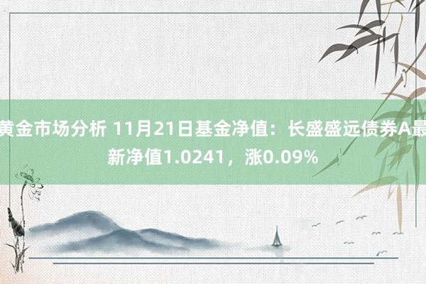 黄金市场分析 11月21日基金净值：长盛盛远债券A最新净值1.0241，涨0.09%