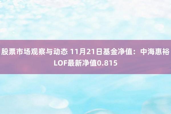 股票市场观察与动态 11月21日基金净值：中海惠裕LOF最新净值0.815