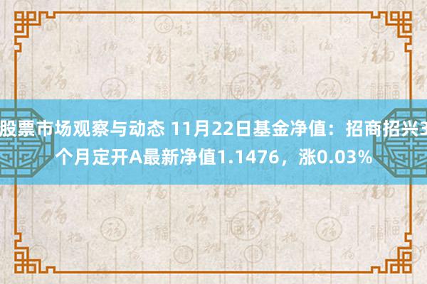 股票市场观察与动态 11月22日基金净值：招商招兴3个月定开A最新净值1.1476，涨0.03%