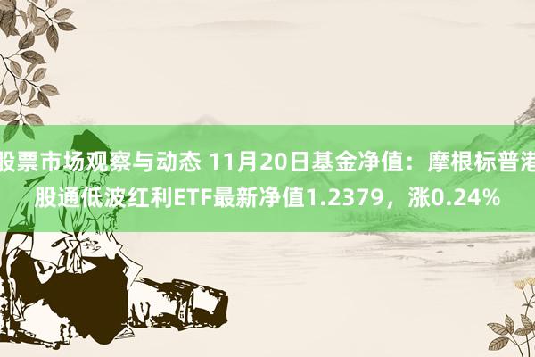 股票市场观察与动态 11月20日基金净值：摩根标普港股通低波红利ETF最新净值1.2379，涨0.24%