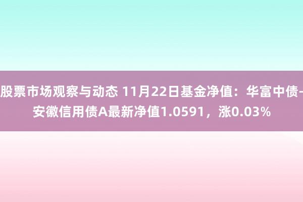 股票市场观察与动态 11月22日基金净值：华富中债-安徽信用债A最新净值1.0591，涨0.03%