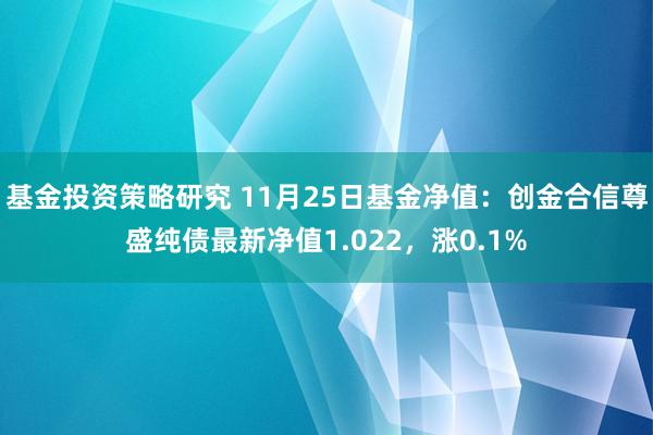 基金投资策略研究 11月25日基金净值：创金合信尊盛纯债最新净值1.022，涨0.1%