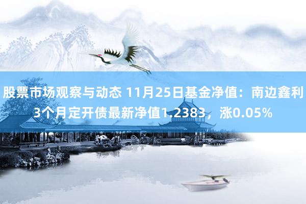 股票市场观察与动态 11月25日基金净值：南边鑫利3个月定开债最新净值1.2383，涨0.05%