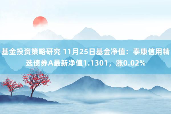 基金投资策略研究 11月25日基金净值：泰康信用精选债券A最新净值1.1301，涨0.02%