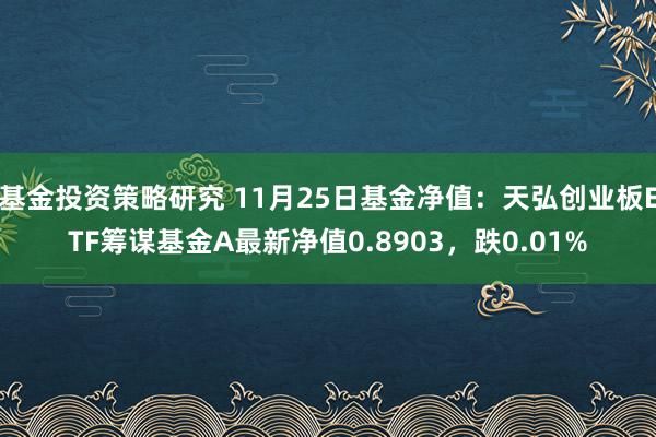 基金投资策略研究 11月25日基金净值：天弘创业板ETF筹谋基金A最新净值0.8903，跌0.01%