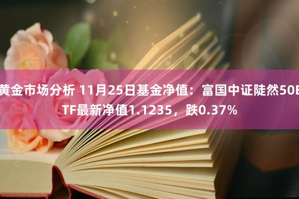 黄金市场分析 11月25日基金净值：富国中证陡然50ETF最新净值1.1235，跌0.37%