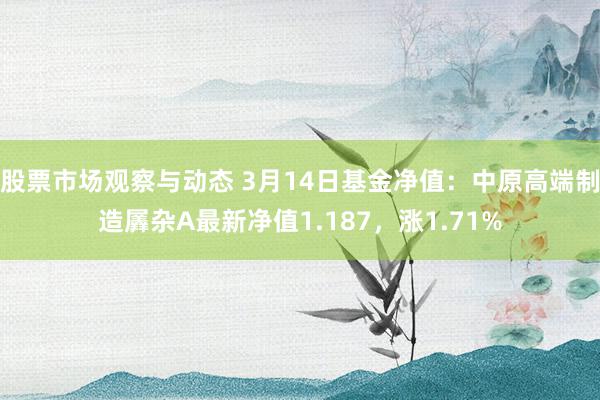 股票市场观察与动态 3月14日基金净值：中原高端制造羼杂A最新净值1.187，涨1.71%