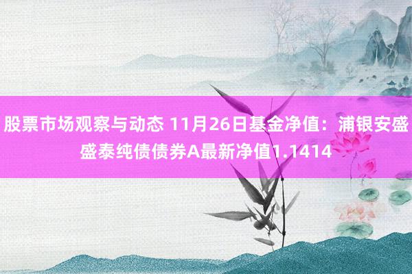 股票市场观察与动态 11月26日基金净值：浦银安盛盛泰纯债债券A最新净值1.1414