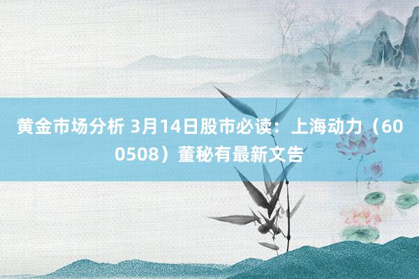 黄金市场分析 3月14日股市必读：上海动力（600508）董秘有最新文告