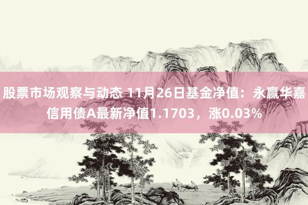 股票市场观察与动态 11月26日基金净值：永赢华嘉信用债A最新净值1.1703，涨0.03%