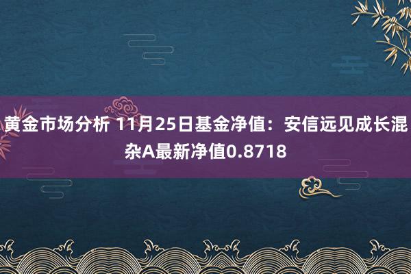 黄金市场分析 11月25日基金净值：安信远见成长混杂A最新净值0.8718